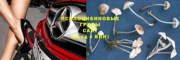 бутират Алексеевка