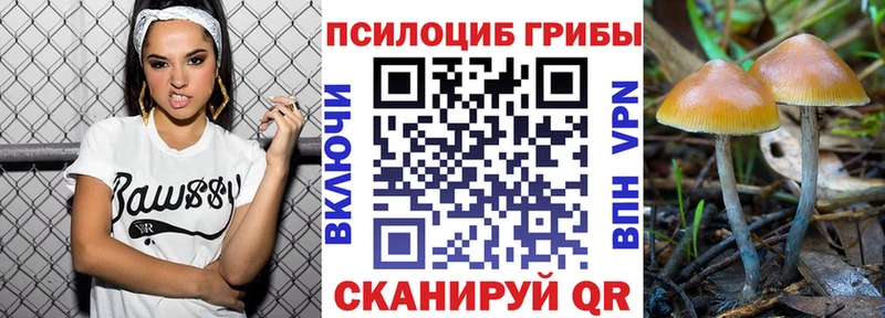Псилоцибиновые грибы мицелий  мега зеркало  Чехов  хочу наркоту 