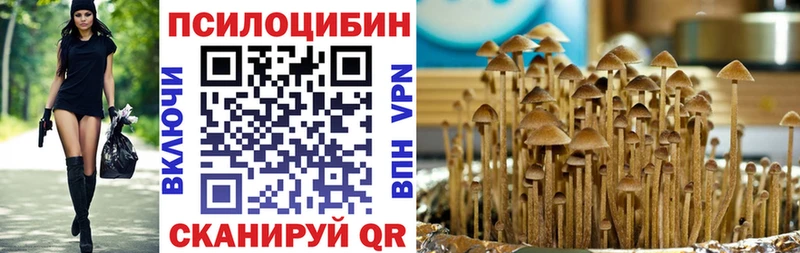 Галлюциногенные грибы Psilocybine cubensis Чехов